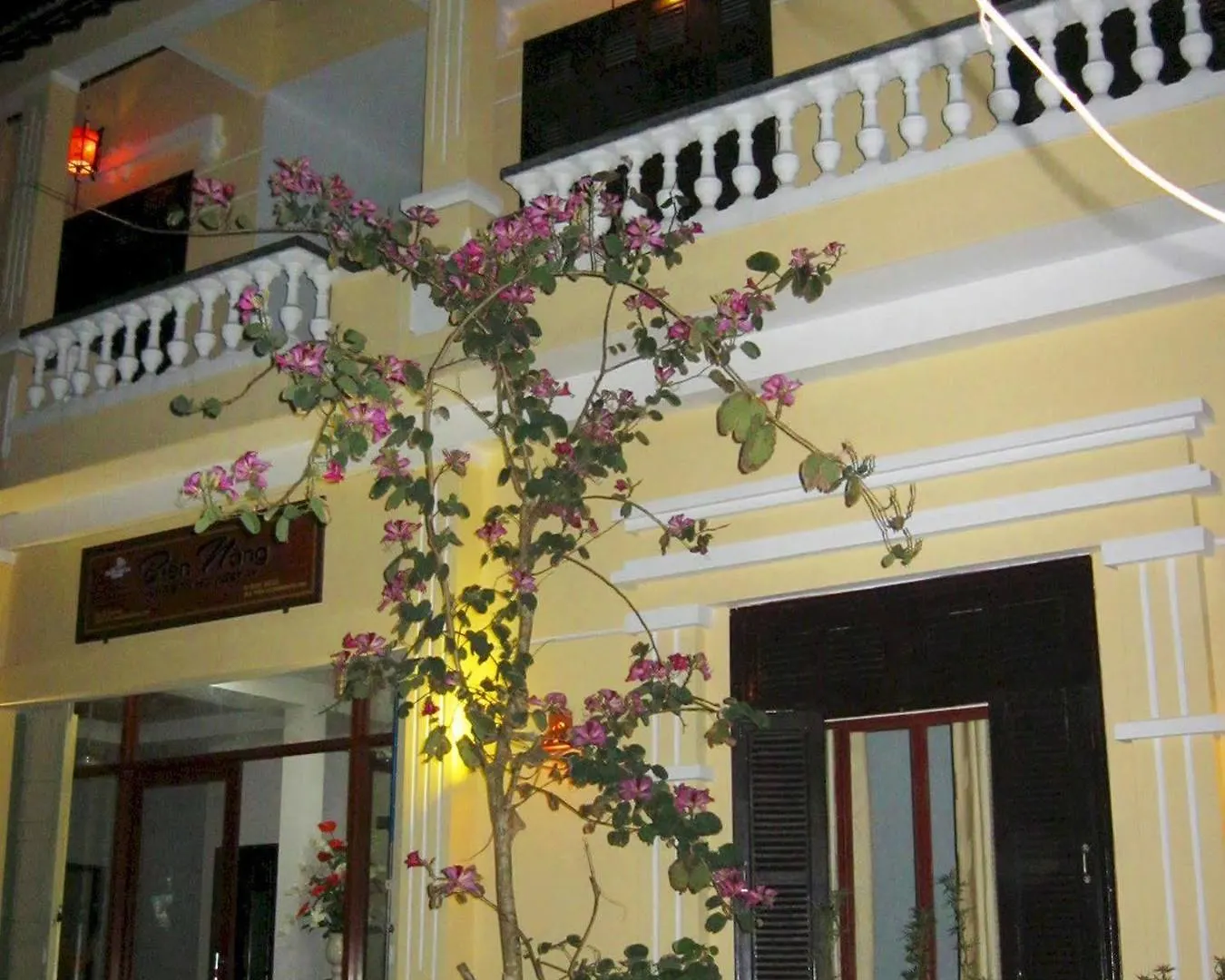 Botanic Beach Homestay 会安