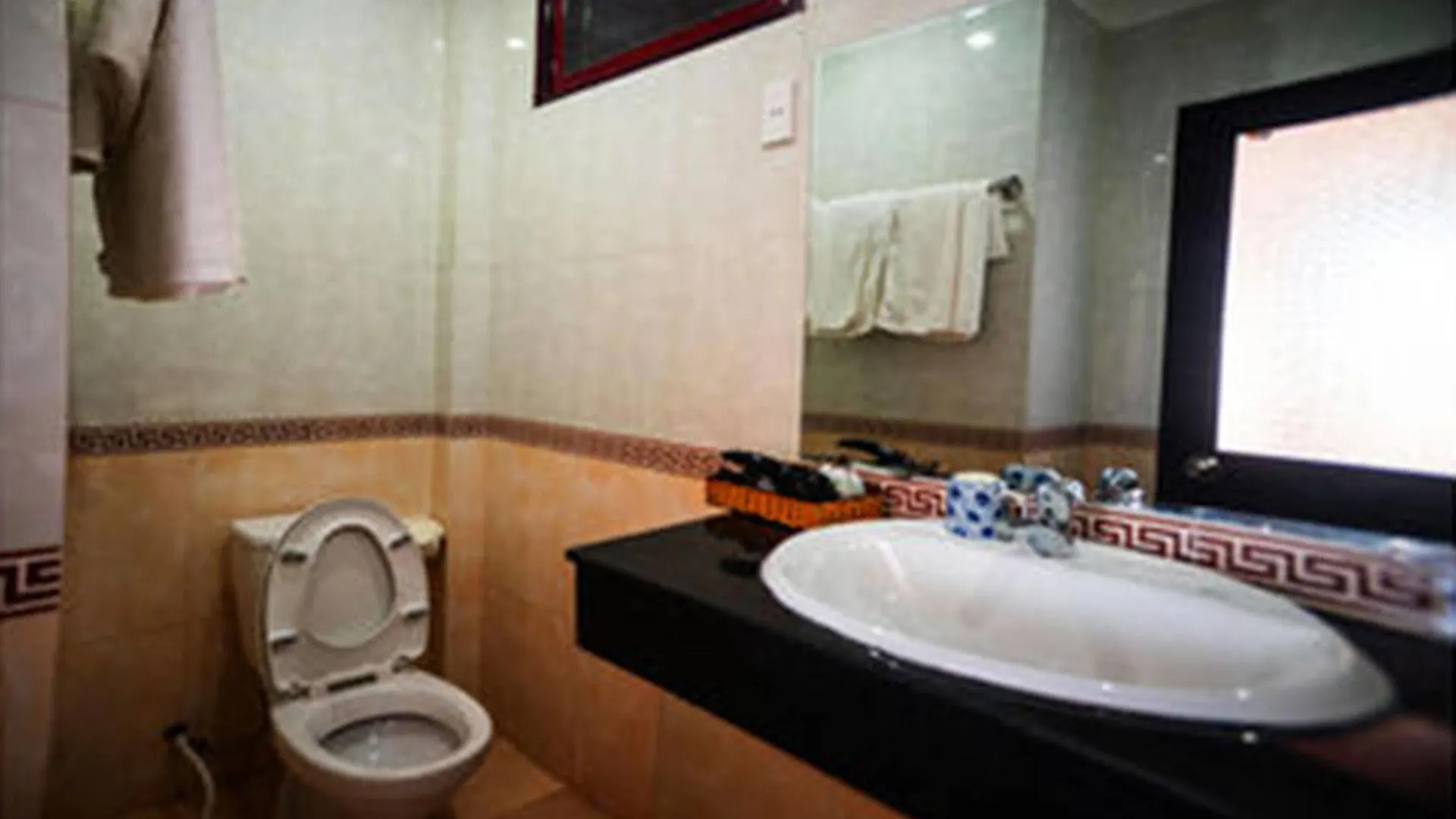 Botanic Beach Homestay 会安 酒店