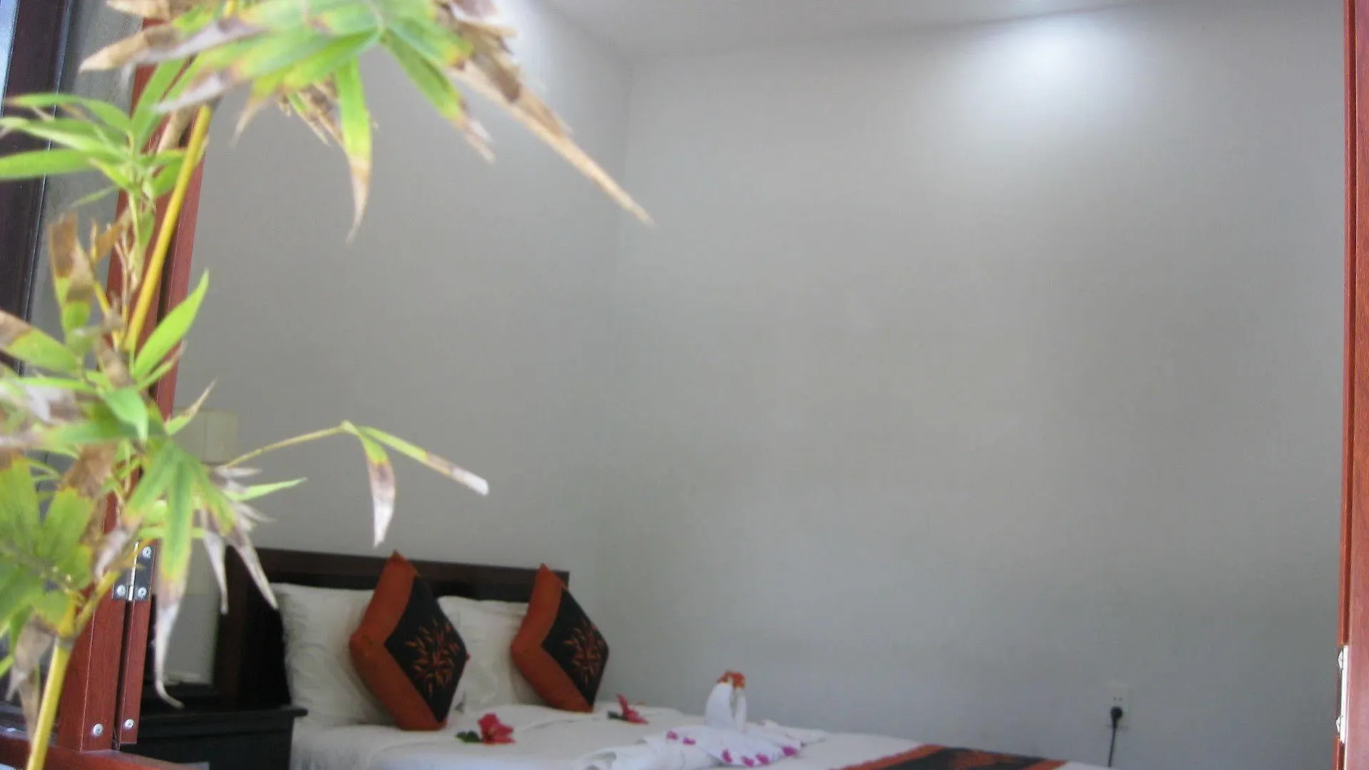 酒店 Botanic Beach Homestay 会安