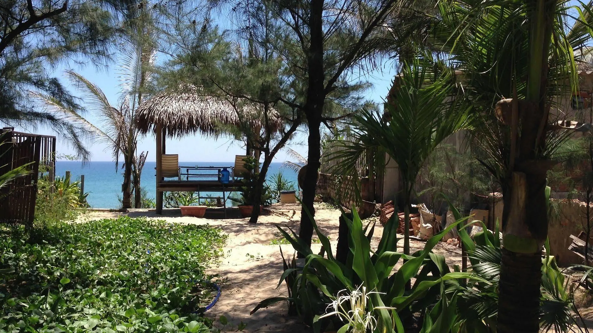 酒店 Botanic Beach Homestay 会安